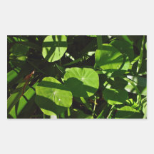 Nasturtiums decorated with light and shade rectangle stickers
