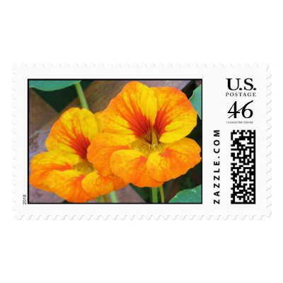Nasturtiums Stamp by ggbythebay