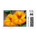 Nasturtiums Stamp