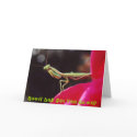  Nasty bug get you down? cards