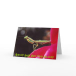  Nasty bug get you down? cards