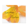 Nastya Post Cards