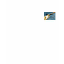 nastyhabitslogo.htm_txt_1973%20fender%20stratocast t-shirts