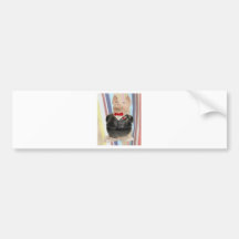 Nat West Piggy Bank Bumper Stickers