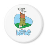 Nate magnets