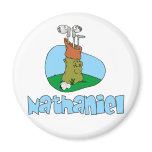Nathaniel magnets
