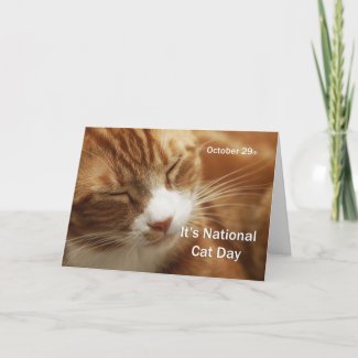 National Cat Day October 29 card