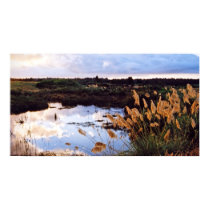National Park Pond posters by skystudioNZnorth National Park Pond posters