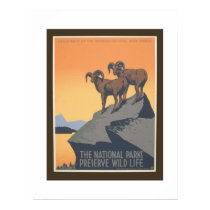 National Park - Preserve Wildlife - Vintage Poster
