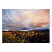 National Park Sunset cards