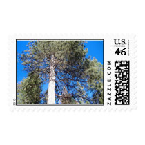 NATIONAL PARK TREE postage by ezekielmadrigal NATIONAL PARK TREE postage
