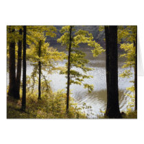 National Parks Card