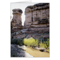 National Parks Card