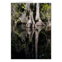 National Parks Card