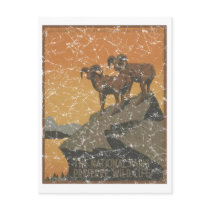 National Parks - Mt. Goats - distressed Post Card