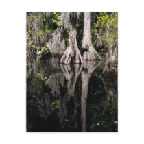 National Parks Postcard by TheCardStudio National Parks Postcard
