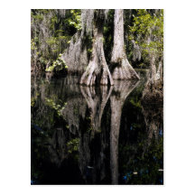National Parks Postcard