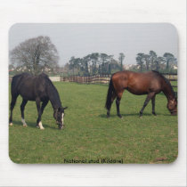 National stud mousepads