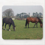 National stud mousepads