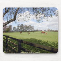 National Stud mousepads