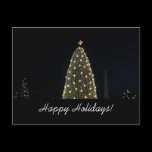 National Tree and Washington Monument Postcard