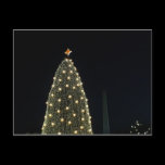 National Tree and Washington Monument Postcard