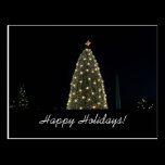 National Tree and Washington Monument Postcard