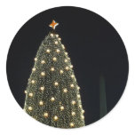 National Tree and Washington Monument Sticker
