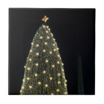 National Tree and Washington Monument Tile