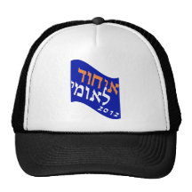 National Union 2012 Mesh Hat