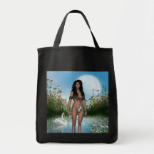 Native American Bag