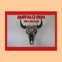 Native American Buffalo Run Tipi Village Postcard