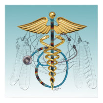 Native American Caduceus and Stethoscope