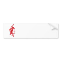 Native American Indian Squaw Woman Bumper Sticker