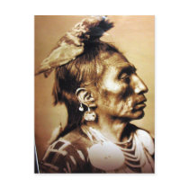 Native American Indian Vintage Portrait postcards
