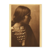 Native American Indian Vintage Portrait postcards