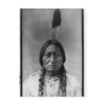 Native American Indian Vintage Portrait Post Card