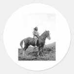 Native American Indian Vintage Portrait Sticker