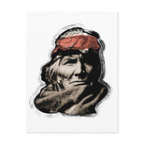 Native American Indian Warrior postcards