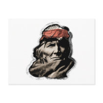 Native American Indian Warrior postcards