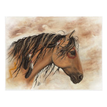 Native American Mustang Horse ArT by BiHrLe Post Cards