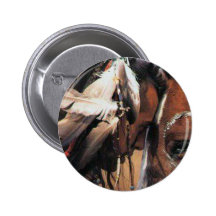 NATIVE AMERICAN PIN