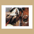 NATIVE AMERICAN POST CARD