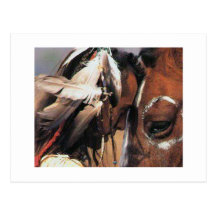 NATIVE AMERICAN POST CARD