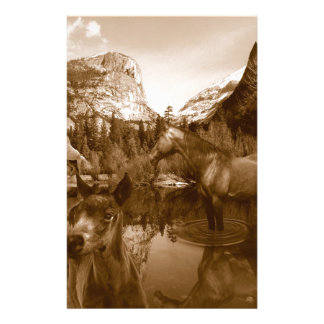 Native American Stationery | Zazzle