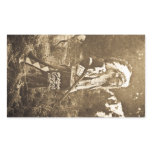 Native American Ute Sioux Vintage stickers