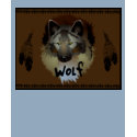 Native American Wolf T-Shirt