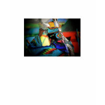 Native American Woman T-Shirt