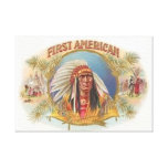 Native American Wrapped Canvas Gallery Wrapped Canvas