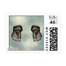 Native Americans Postage